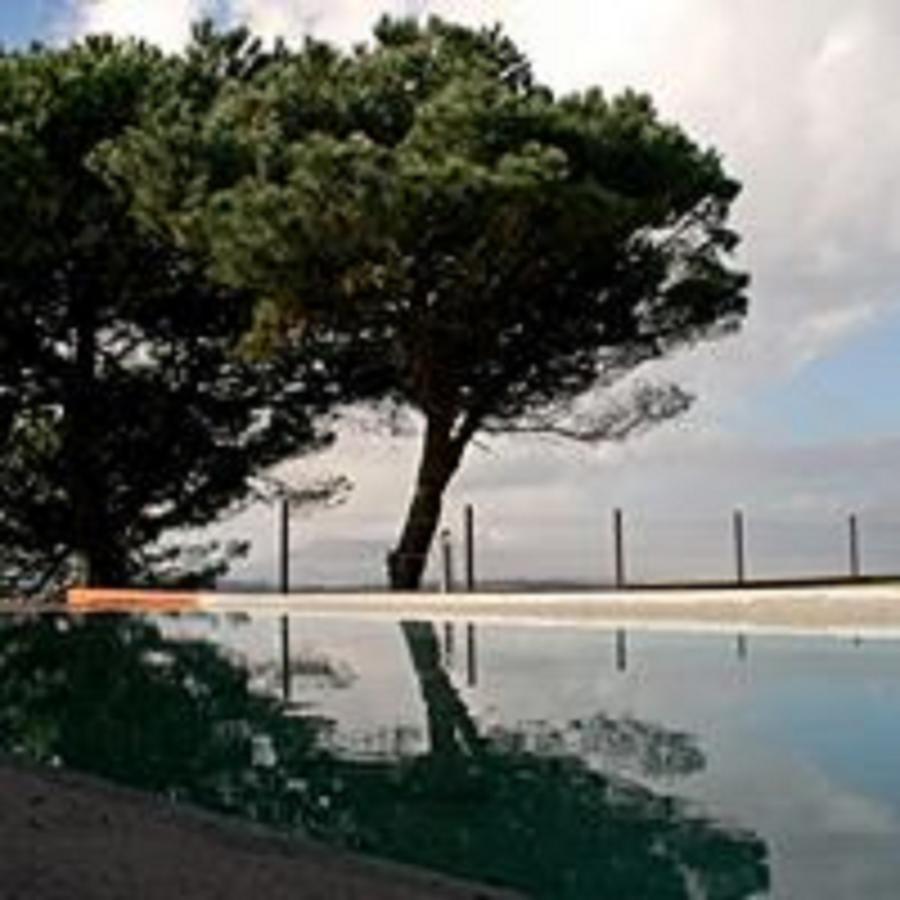 Shepinetree - Pinheira Otel Vale de Lobos Dış mekan fotoğraf