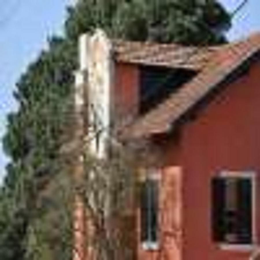 Shepinetree - Pinheira Otel Vale de Lobos Dış mekan fotoğraf