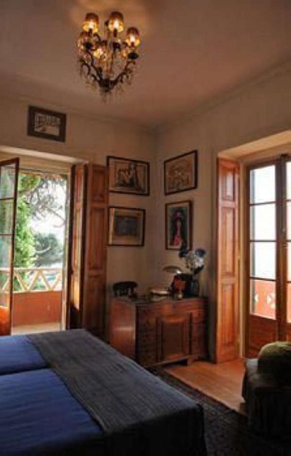 Shepinetree - Pinheira Otel Vale de Lobos Dış mekan fotoğraf